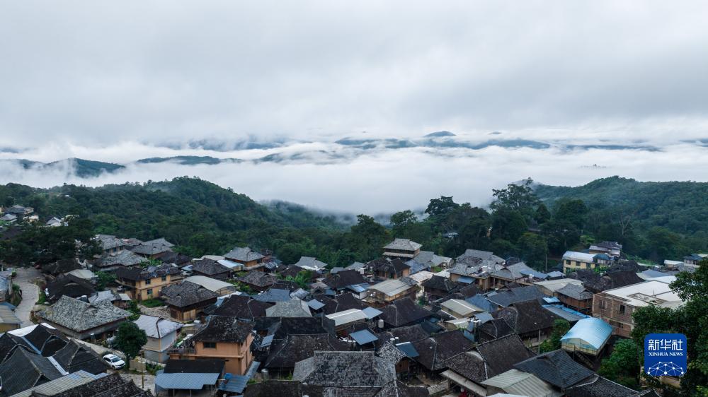 金皇冠免费下载